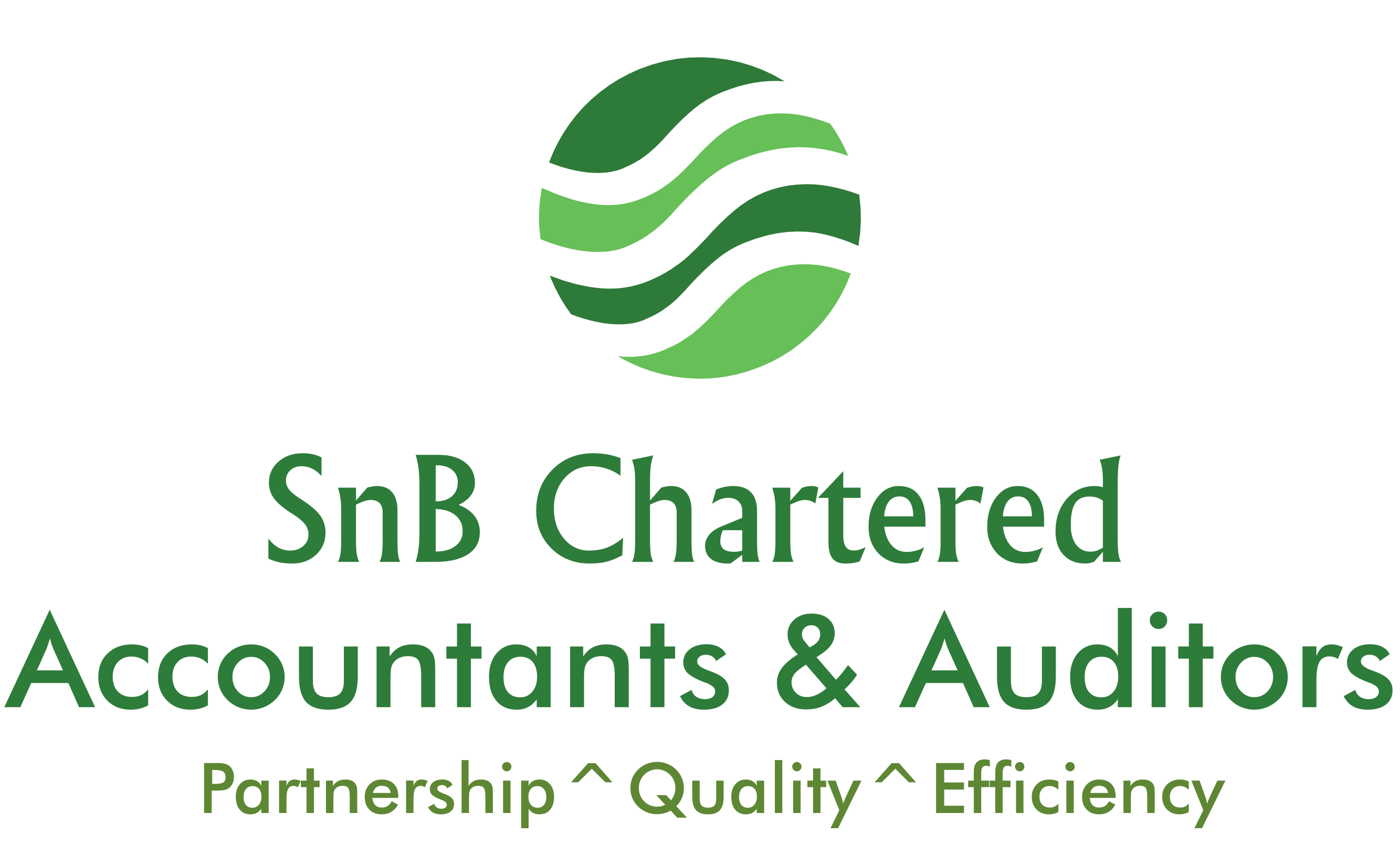 SNB web design